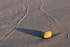 Alone On The Beach