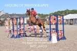 BPP_6803