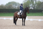 British Dressage portfolio