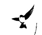 Tree Swallow Graphic