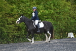 WJ5_9012
