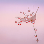 Digital-Bronze-Jan SullivanDROPLETS