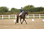 SBM_006856