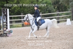 BPP_8845
