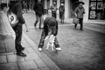 Dressing the dog!!