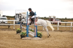 SBM_007973