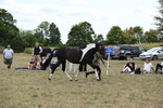 WJ6_5639