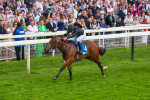 260823-Race 6-Inquisitively-0884