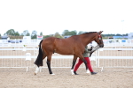 SBM_04981