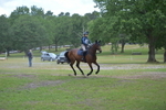 NGP_6679