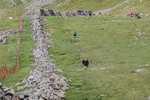 Ennerdale-602