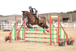 SBM_002531