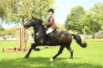 SBM_42882