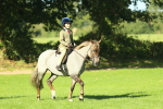 SBM_36439