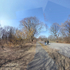 March 2020 - Arnold Arboretum - Title:  Just a walk