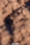 240505A-183402-07628