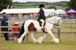 SBM_06097