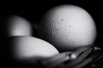 Eggs 03