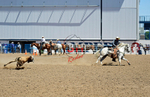 3HRodeo8-11-25_PRCASteer_04678_