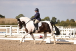 SBM_08019