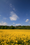 Bath  _BA060