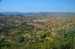 Sierra de Andújar, Andalucia, Spain