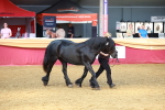 SBM_18485
