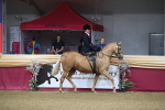 SBM_09247