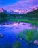 Istock #19935606