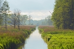 Białowieża, Poland