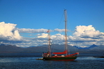 20100826_0193_2