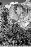 Half Dome 2