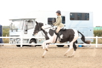 SBM_06735