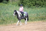 WJ7_8003