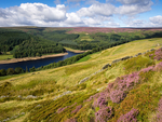 Upper Derwent Valley
