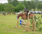 Dunblane show-540