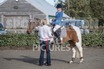 North Showjumping_2016-35