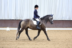 SBM_001177