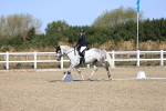 SBM_013126