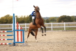 SBM_004021