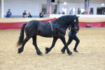 SBM_17492