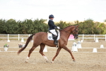 SBM_009453