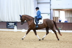 SBM_004058