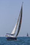 190629 FIREFLY GBR8078R 1Y3A0785