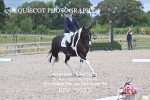 BPP_7933