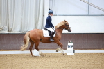 SBM_000384
