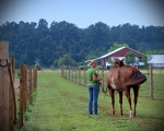 Haleys Horse_029