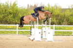 SBM_002979
