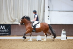 SBM_000511
