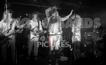 Spangles-113